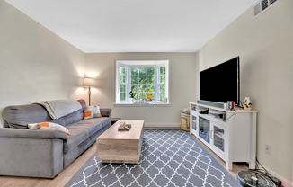 806 S ARLINGTON MILL DR #10204