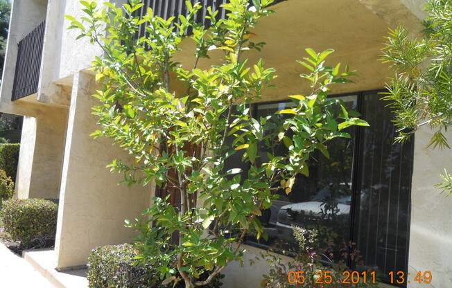 Coming Soon! 2BDRM/1.5BATH CONDO IN SAN DIEGO