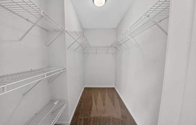 Empty white refrigerator with brown carpet on the floor.