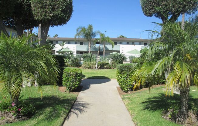 The Palms