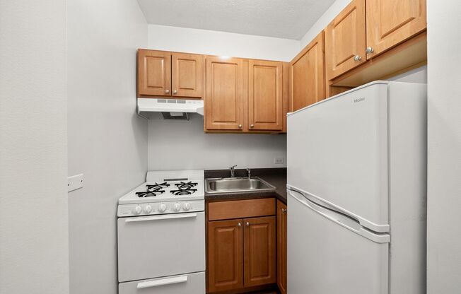 Studio, 1 bath, 315 sqft, $1,275, Unit 410