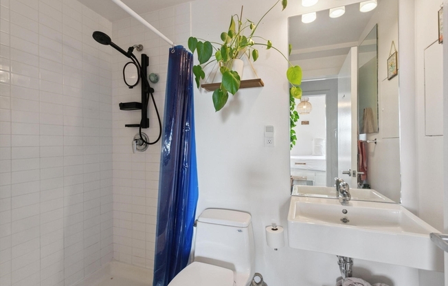 1 bed, 1 bath, 732 sqft, $3,500, Unit 216