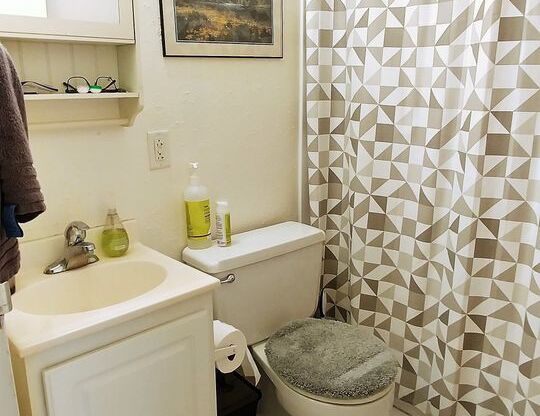 1 bed, 1 bath, $1,115, Unit 1D