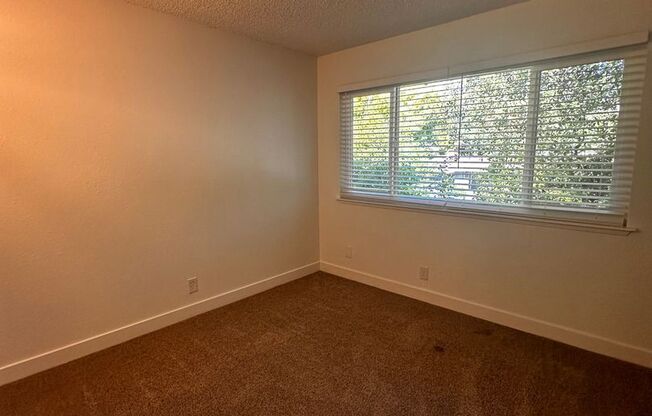 1 bed, 1 bath, 437 sqft, $995, Unit F