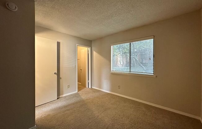 1 bed, 1 bath, $1,295, Unit 53