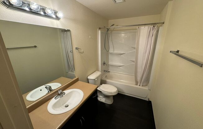 Studio, 1 bath, 533 sqft, $1,150, Unit Unit 218