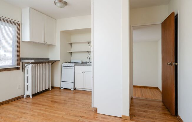 1 bed, 1 bath, 550 sqft, $950, Unit 1917-13