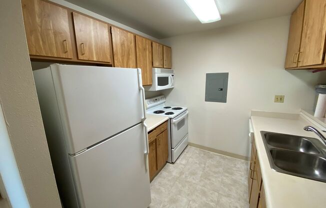SYRUS RENTAL