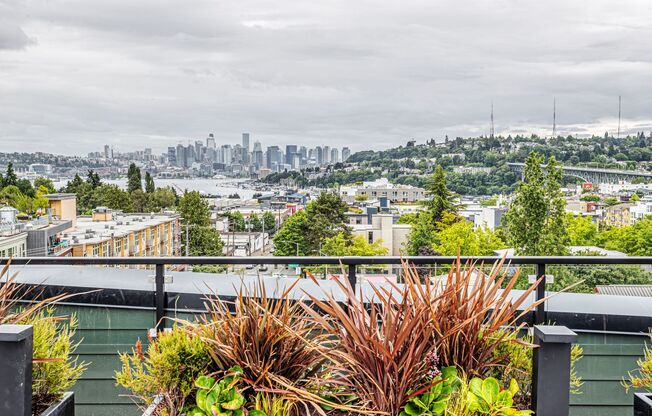 Studio, 1 bath, 314 sqft, $1,356, Unit 311