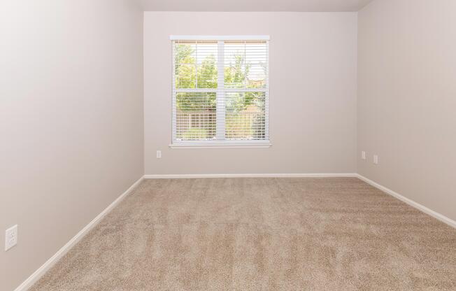 2 beds, 1 bath, 895 sqft, $1,746