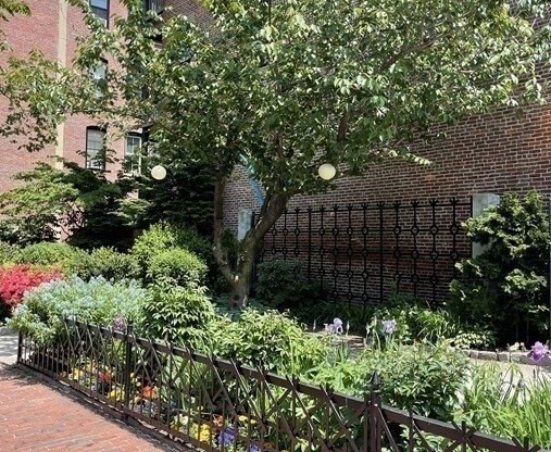 1 bed, 1 bath, 319 sqft, $2,395, Unit PARLOR