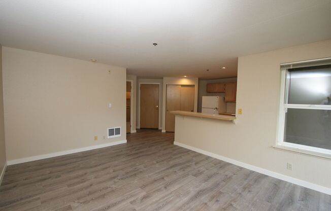 Studio, 1 bath, 452 sqft, $1,450, Unit 209