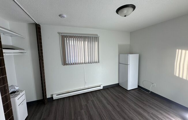 Studio, 1 bath, 275 sqft, $550, Unit 103