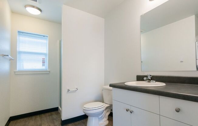 Studio, 1 bath, 368 sqft, $1,099, Unit 103