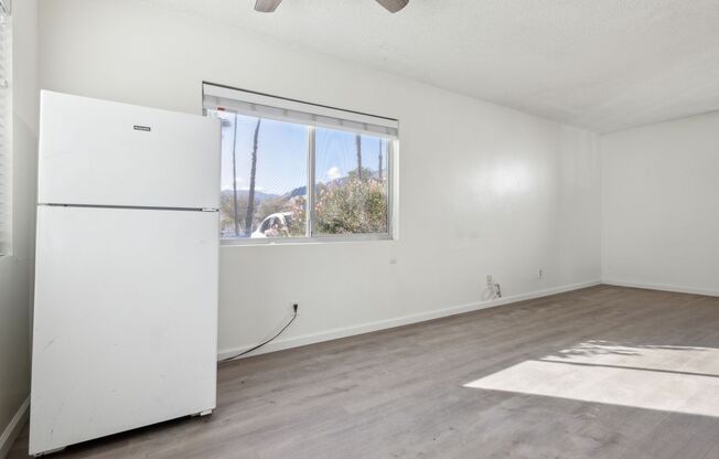 Studio, 1 bath, 250 sqft, $1,335, Unit 17