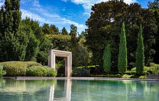 Discover stunning gardens and unforgettable moments at the Dallas Arboretum.