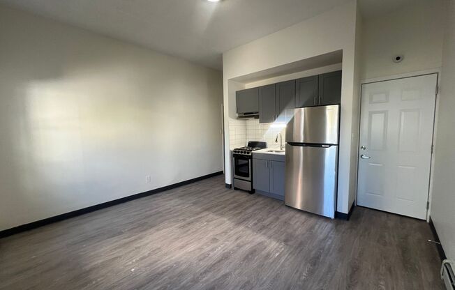 Studio, 1 bath, $1,375, Unit A1119 - 32