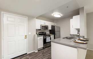 Renovated Kitchen at 55+ FG Terra Vista