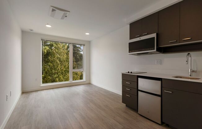 Studio, 1 bath, 249 sqft, $1,097, Unit 305 MFTE