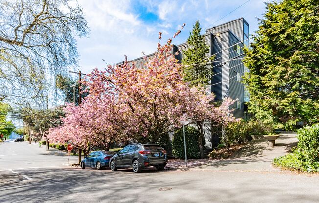 Lakeview Place