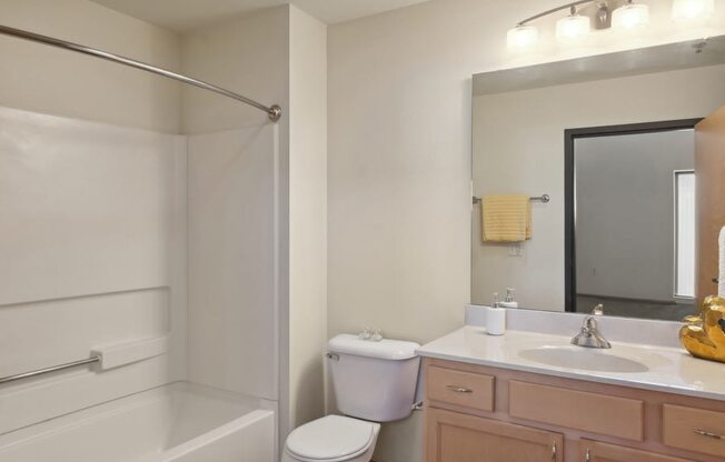 a bathroom with a sink and a shower and a mirror