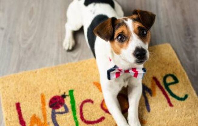 2 beds, 2 baths, 800 sqft, $3,250, Unit 164