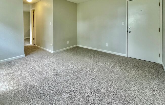 Studio, 1 bath, 402 sqft, $1,225