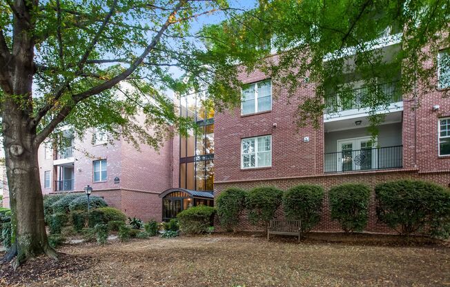 Live in the Heart of Historic Dilworth – Walkable, Stylish & Full of Charm! | ⭐️MOVE IN SPECIAL $500 OFF FIRST FULL MONTH