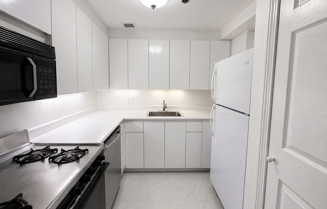 Studio, 1 bath, 537 sqft, $2,995, Unit 205