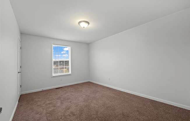 Plush Carpet in bedroom