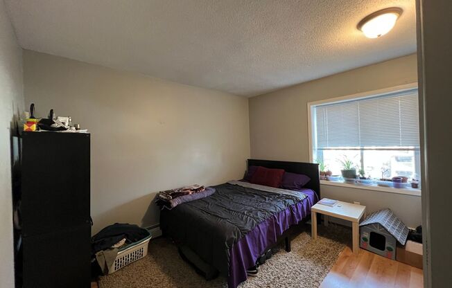 1 bed, 1 bath, 550 sqft, $1,195, Unit 302