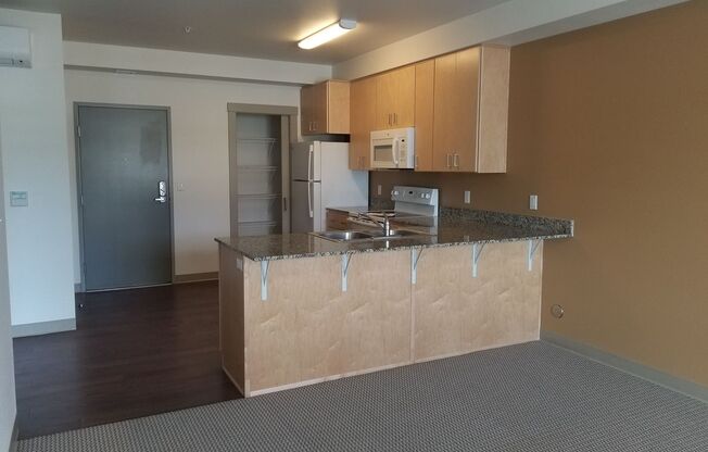 1 bed, 1 bath, 743 sqft, $1,500, Unit 304