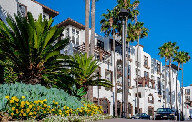 exterior of promenade rio vista apartments and palm tree landscaping