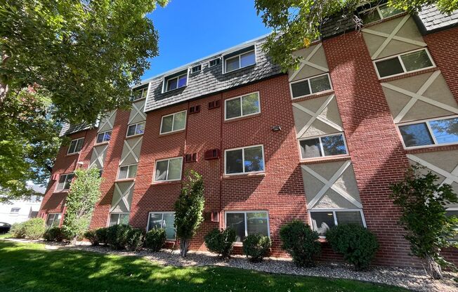 1 bed, 1 bath, 515 sqft, $1,289, Unit #202