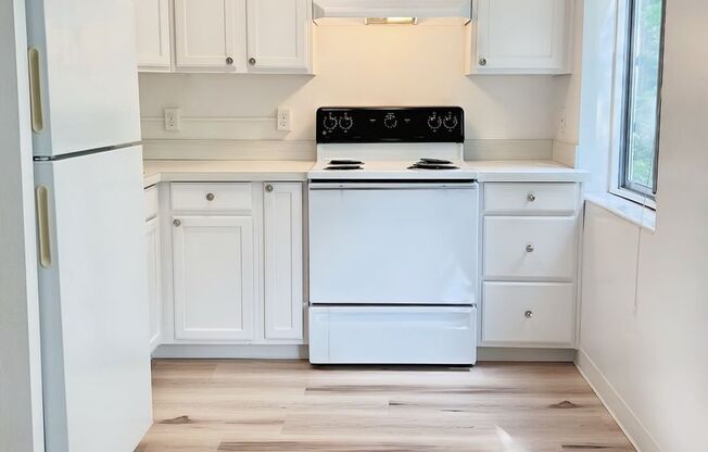 1 bed, 1 bath, 533 sqft, $1,375, Unit 403