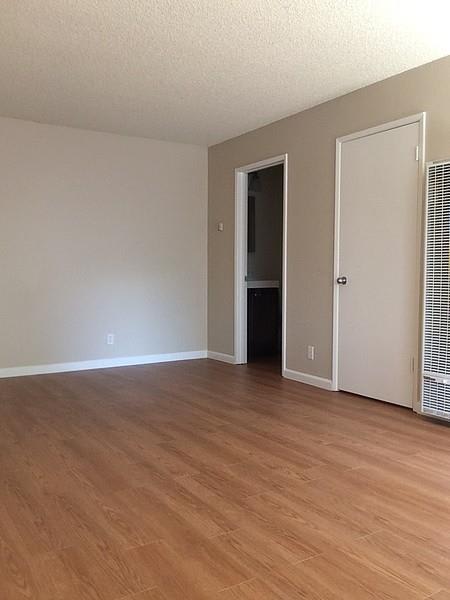 Welcome to The Cedars Studio