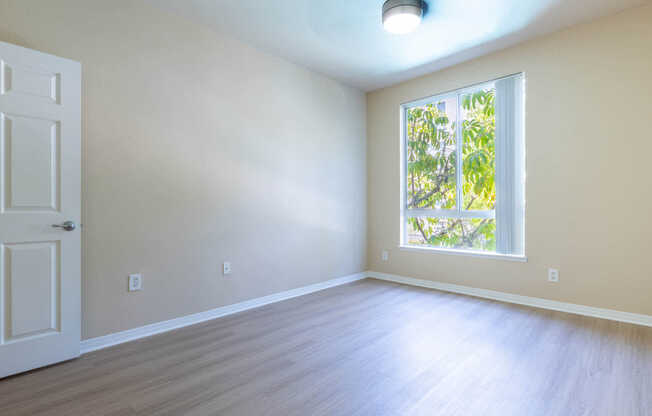 Bedroom with Hard Surface Flooring