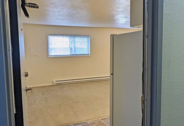 Studio, 1 bath, 350 sqft, $1,025, Unit 105