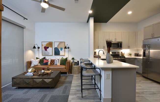 Living Room interior at The Flats at West Alabama, Houston, 77027