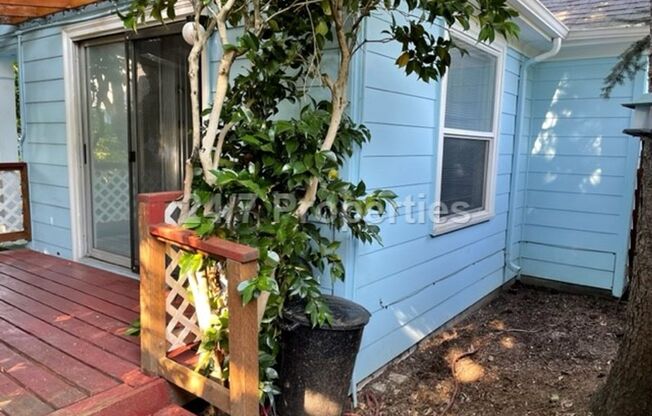 1 bed, 1 bath, 695 sqft, $1,595, Unit 01