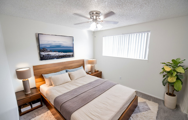 2 beds, 1 bath, 935 sqft, $1,299, Unit 11