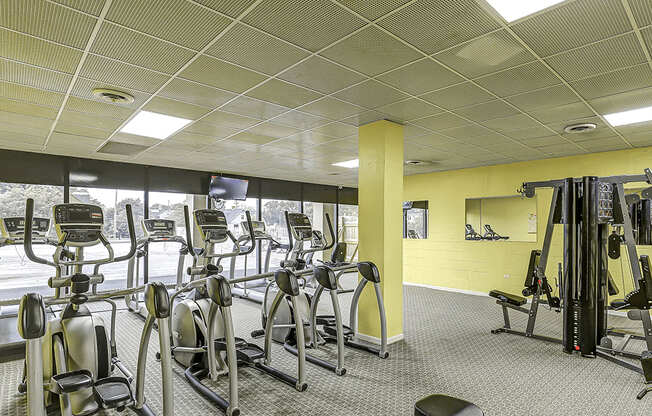 A gym with treadmills, elliptical machines, and weights.