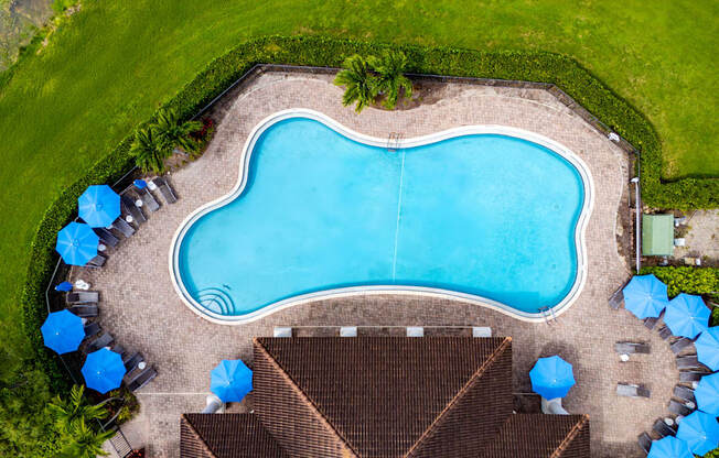 A large blue swimming pool surrounded by a grassy area and a few trees.