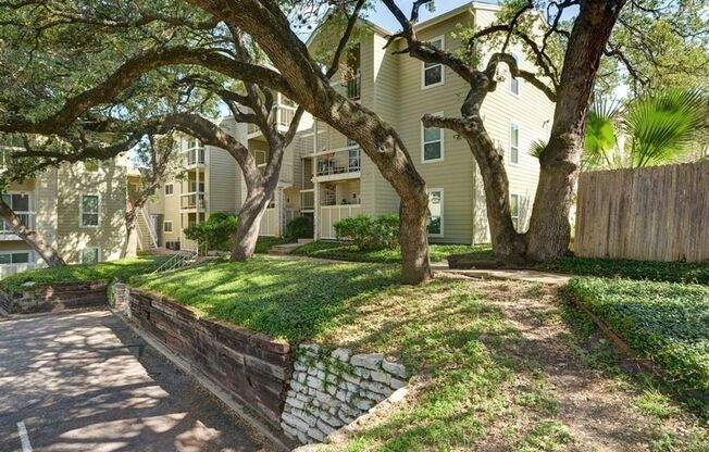 Hyde Park Oaks #306