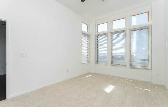 Carpeted Bedroom