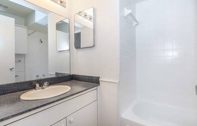 a bathroom with a sink and a shower and a mirror