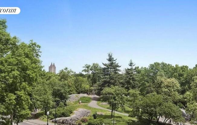 110 CENTRAL PARK S