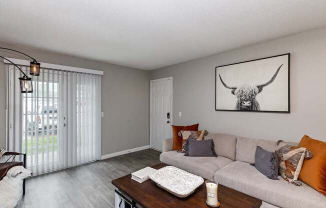 A living room with a grey couch and a painting of a bull on the wall.