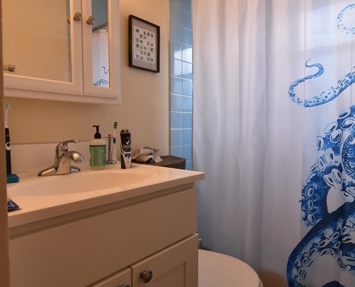 1 bed, 1 bath, $2,500, Unit 52