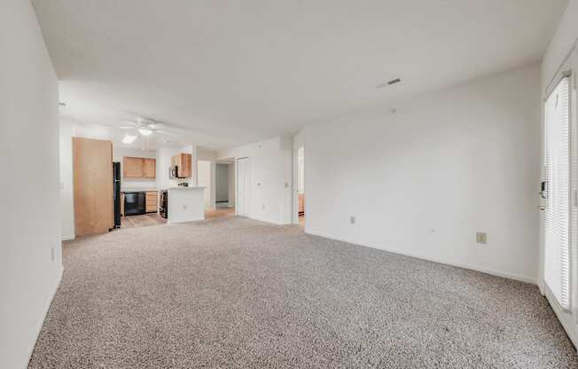 A spacious room with a grey carpet and white walls.